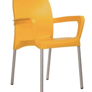Cafe Chair 2A with arms for sale Johannesburg